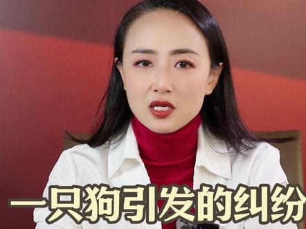 一只土狗引发的纠纷