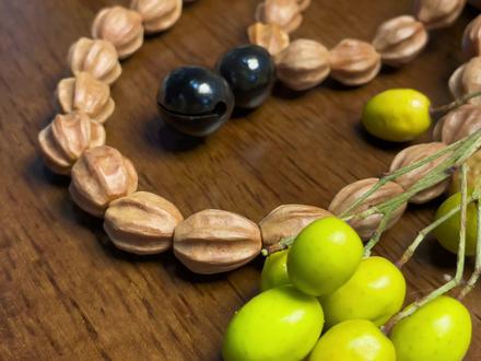 秋天的快乐,出门总会有惊喜~用苦楝子果核做的手工DIY手串,绿化带文玩#木楝子#苦楝子#文玩#手串#解压