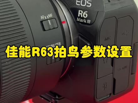#佳能R63#拍鸟 #鸟类实拍 #鸟类摄影 #佳能R6III
新手拍鸟参数如何设置?佳能相机拍鸟参数设置,今天以R6三代为例,和大家一起学习分享,欢迎关注转发!