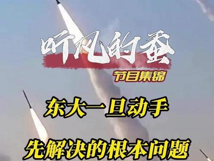 东大一旦动手,先解决的根本问题 #科普#国际局势#热点