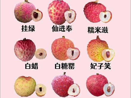 谁才是你心目中的荔枝王者!#荔枝 #长安的荔枝 #水果