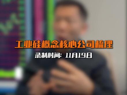 硅概念的八家核心公司梳理#股市 #硅 #核心公司