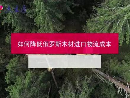 如何降低俄罗斯木材进口物流成本#进口木材 #海运 #俄罗斯