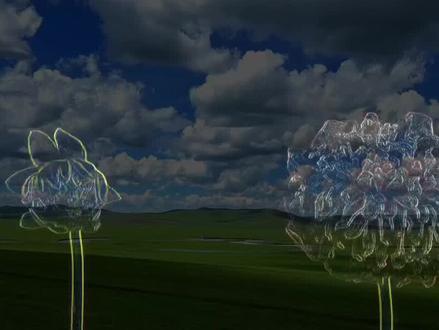 家中有这样的孩子是福星#正能量#父母必看系列