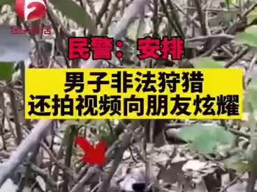 近日,安徽一男子非法狩猎,警方:安排了!