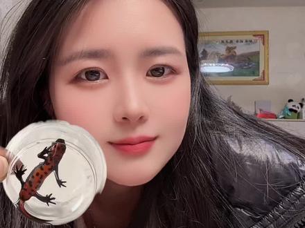 今天才知道这种红肚皮的蝾螈是有毒的,以前小朋友居然还买回来养过#蝾螈 #蝾螈有毒吗 #随时随地标记 #标记万物