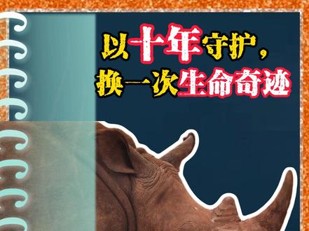 以十年守护,换一次生命奇迹 全球仅存约 2500 头的濒危黑犀牛,在守护者十年期盼下顺利降生。新手妈妈的慌乱与坚守,小生命摇晃却坚定的第一步,都在诉说生命的坚韧与伟大。每一个新生都是希望,每一次守护都为种族延续点亮光芒。
#黑犀牛新生 #濒危动物保护 #野生动物纪录片 #生命的力量 #自然治愈瞬间