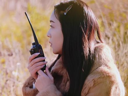 黑颈鹤和红嘴鸥来威宁啦!大家快来看#威宁