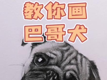 教你画治愈系小萌宠#素描 #画画 #零基础学画画 #巴哥 #一起学画画