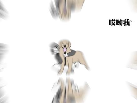 从你喜欢的小狗来看你的理想型?你们的准吗? #轻漫计划 #涨知识 #冷知识 #小狗 #择偶 #恋爱 #狗狗