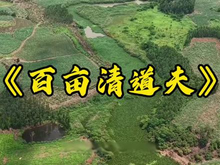 大表哥和小飞哥清理百亩清道夫老巢,看看里面到底有多少清道夫? #大表哥vlog #小飞哥 #清道夫 #水葫芦