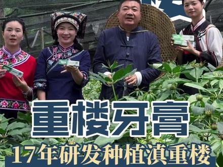云南彝家本土好物 滇重楼种植到研发的,重楼牙膏!#随息堂 #云南随息堂重楼牙膏#重楼牙膏#重楼牙膏功效