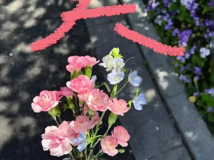 “像花一样往春天赶🌸”超简单的实况live图涂鸦教程#醒图 #醒图创作者 #交换春天 #live实况#随处可见的春