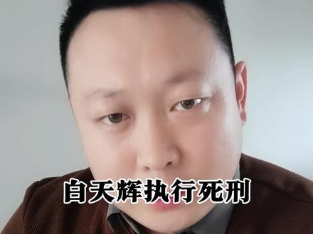 赖小民的执行者白天辉被执行死刑