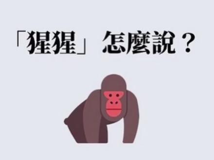 #英语口语 黑猩猩,大猩猩傻傻分不清的英语表达 #实用英语