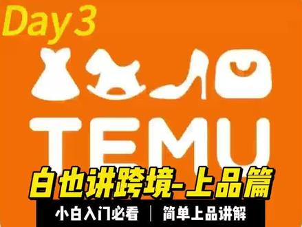 上品篇 加班加班,复工了!兄弟们开始搞钱!#跨境电商入门 #跨境电商 #temu