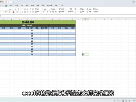 办公软件技巧,WPS表格行高和列宽单位设置厘米 #excel #wps表格 #知识领航者