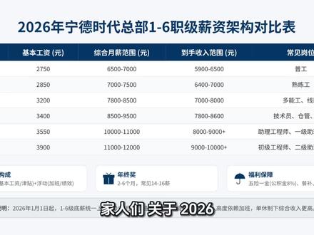 第 8集|1-6 职级#宁德时代#薪资 #就业与保障#抖音玩法合伙人计划