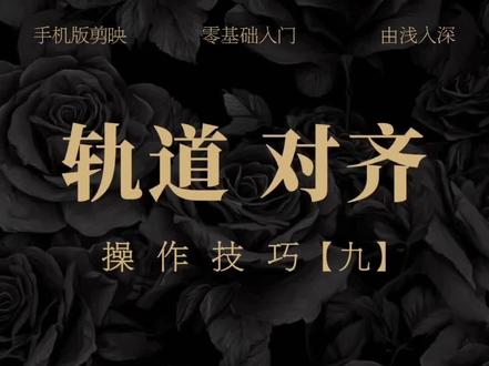 轨道对齐操作技巧 #剪辑教程#手机剪辑教学 #新手学剪辑