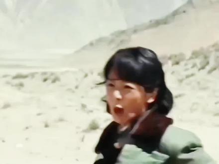 《生命树》收视12连冠#生命树 #杨紫 #胡歌 #连续剧