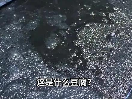 这是什么豆腐?#科普#豆腐