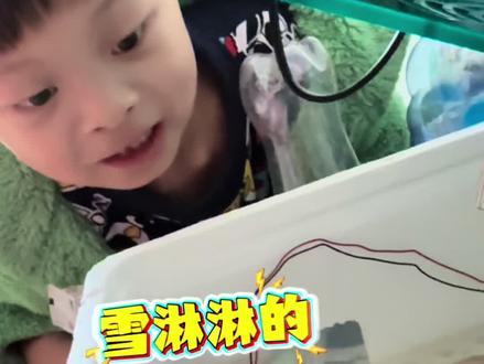 孵蛋完成 九彩蛋孵出来没有彩色,说是像鸭蛋的蛋孵出来又不像鸭…#vlog日常 #让宝宝享受探索世界的乐趣