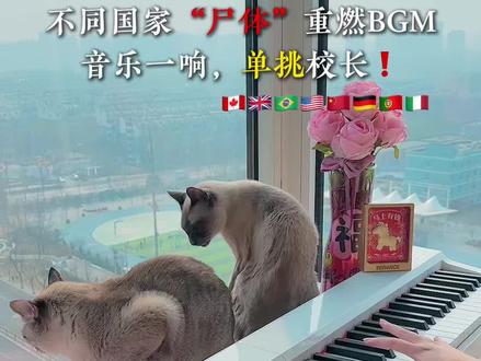 不同国家“尸体”重燃BGM🔥你听过几首? #审判时刻 #level #特伦斯电钢琴 #特伦斯折叠重锤电钢琴 #重锤电钢琴