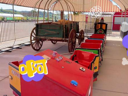 开心农场真人版就在著名的Underwood Farm 平时来还能跟我一样体验农场主的感觉 #美国 #美国生活 #洛杉矶 #热门热门