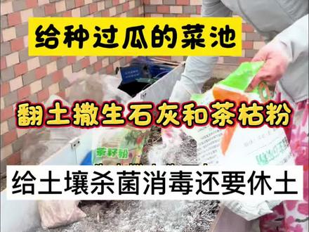 给土壤翻土养土 杀菌消毒 翻完3个菜池,健身运动全达标。#翻土 #翻土晒土#楼顶菜园 #种植小技巧 #记录种植生活