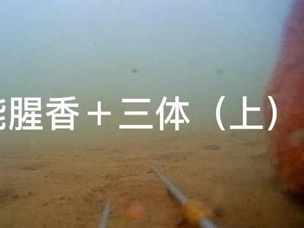 #钓鱼 #户外钓鱼 #野钓 #水下拍摄 #饵料 #钓鱼人 有多少人在用全能三兄弟