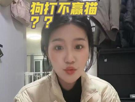 为什么狗永远打不赢猫#