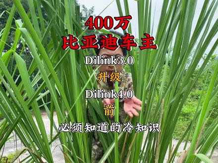 手滑发了个比亚迪车机免费刷机教程,然后私信爆了。就像捅了比亚迪老窝一样,车友们的问题我根本回复不过来。看完这个视频各位尊贵的比亚迪车主会知道升级车机的全套知识。#比亚迪 #宋plusdmi #秦plusdmi #宋prodmi #dilink刷机技巧