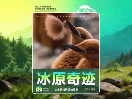 冰原奇迹 在五十万只一模一样的企鹅里走丢,它还能找到妈妈吗?🐧
这个关于“信任”与“坚守”的南极故事,看到最后,我眼泪真的没忍住… 你曾被这样毫无保留地寻找过吗?
#企鹅 #纪录片解说 #动物世界 #保护野生动物 #自然纪录片