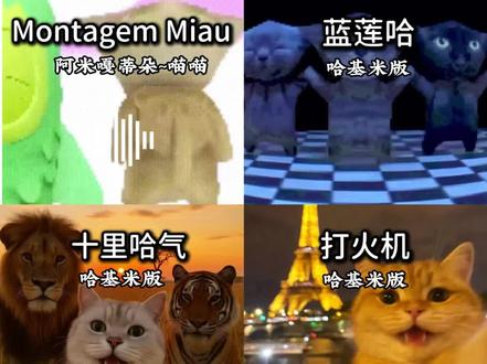 6首热门曲的哈基米版合集来啦!蓝莲哈、十里哈气配上萌猫画面,阿米嘎蒂朵喵喵直接魔性拉满~#哈基米 #阿米嘎蒂朵喵喵 #魔性BGM改编