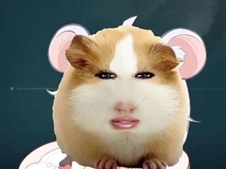 麦小鼠一首夜车不怯场不假唱不好听 #麦小鼠大王