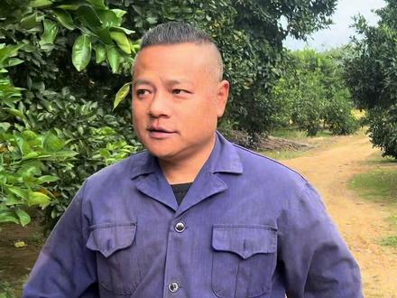 正宗西港化红#助农水果 我的农村生活