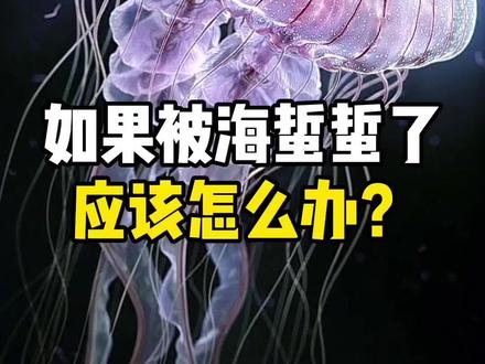 如果你不小心被海蜇蜇伤了,应该怎么办呢?#科普 #海蜇 #水母 #涨见识 #知识科普