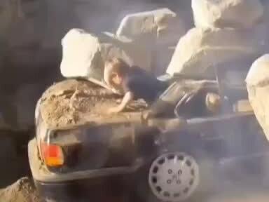 内容来自网络,如有侵权请联系删除