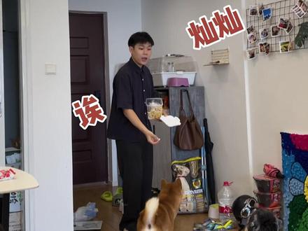 哈哈哈咱们灿灿真乖😂@灿二哥
