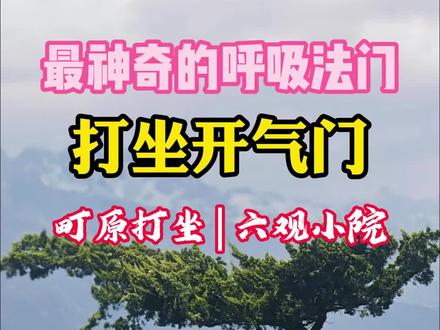 最神奇的呼吸法门—打坐开气门 #打坐 #打坐练气 #胎息