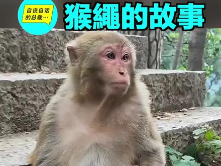 【总裁60s】猴绳的故事......