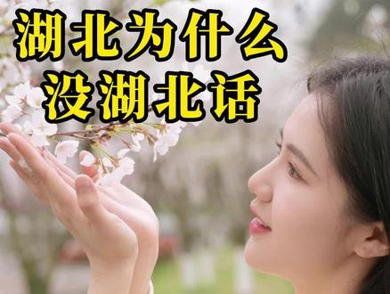 武汉话,宜昌话,襄阳话,为什么没有湖北话呢?#湖北dou知道 #宜昌 #知识分享