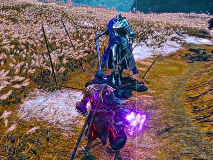 “到此为止了”#艾尔登法环#双月骑士#只狼影逝二度#steam游戏