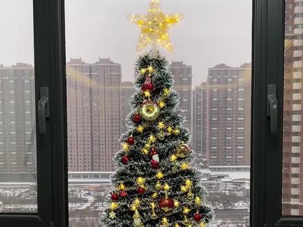 圣诞树教程来啦!晚上关了灯超漂亮!#创意diy #圣诞树 #圣诞