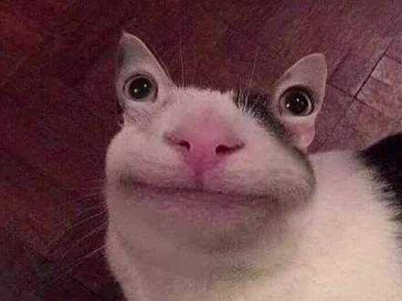 #星座#星盘 如何查看自己的星盘