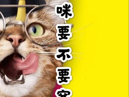 天气冷了,要不要给小猫咪穿衣服呢?#海草计划 #科学养宠攻略 #猫
