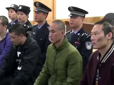 佘智江回国受审 下飞机两腿发软