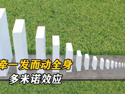 牵一发而动全身,多米诺效应#科学 #百科 #多米诺骨牌 #多米诺效应 @抖音热点