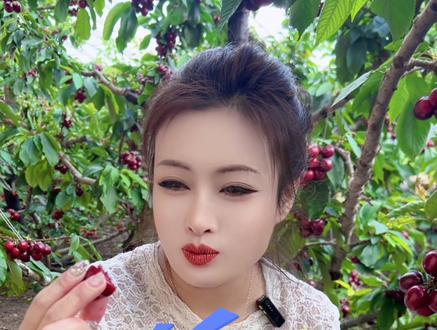 清明假期就来官地两个树樱桃采摘园体验采摘樱桃的快乐#同城 #热门 #小妖本地探店 #采摘大樱桃