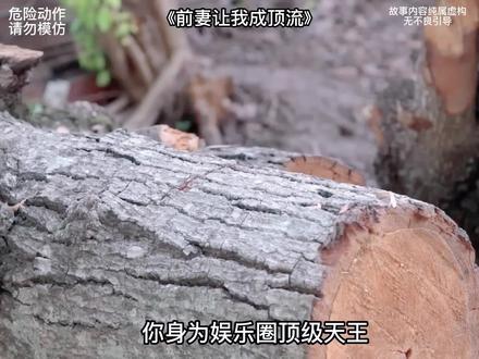大明星奶爸独自带娃#小说推荐 #小说推文 #书荒推荐